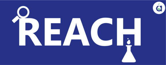Résultats des contrôles de conformité des dossiers REACH pour 2022  et nouvelles recommandations publiées par l’ECHA