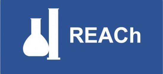Plus de 20% des dossiers d’enregistrement REACH ont été audités par l’ECHA 